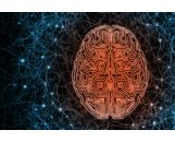 Bondline 半導體、醫療級材料